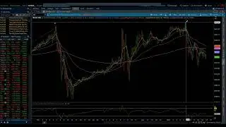 S&P 500 & NASDAQ 100 / Elliott Wave Daily Update 8/26/2024 by Michael Filighera