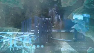 SUBSCRIBE TO EQUESTRIANTEAMICE!