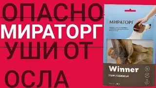 ПОЧЕМУ ОПАСНО ПОКУПАТЬ ДОМАШНИМ ЖИВОТНЫМ 