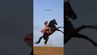 Лишены безумного свидания...