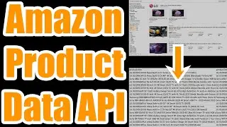 No-Code Amazon API Data Scraping with Rainforest (Still Works in 2026)