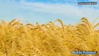 ЗАКАЗАТЬ СЛАЙД ШОУ В КАЗАХСТАНЕ