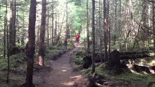 50km Training Episode 2: Smoothie Strategy