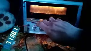 цифровая шкала 