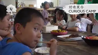 Curious Camps