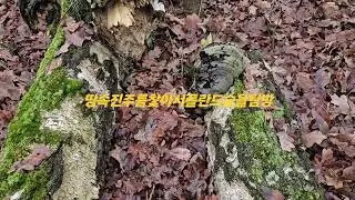 2024년 12월 9일