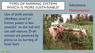 IB ESS Topic 5.2 Terrestrial Food Production Systems and Food Choices