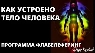 Как устроено тело человека/Уровни системы Флабелеферинга