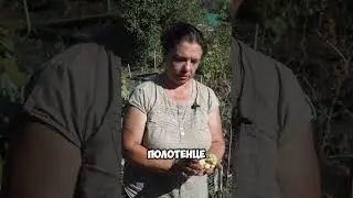 Цветная капуста
