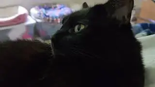 The void is purring