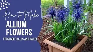 How to Make Allium Flowers out of Golf Balls and Nails for your Garden! DIY #allium #upcycling
