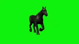 black horse green screen video ||CARTOON GREEN SCREEN ||