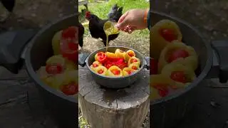 Dolma 🥗 