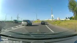 Серая пежня