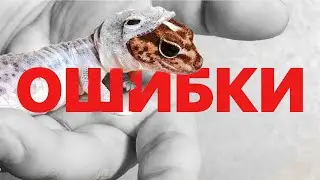 TOP 10 MISTAKES when keeping Eublepharus