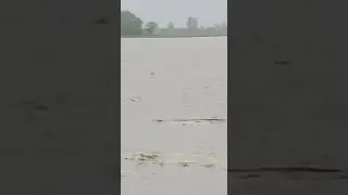 Torrente rompe gli argini, evacuate trenta famiglie