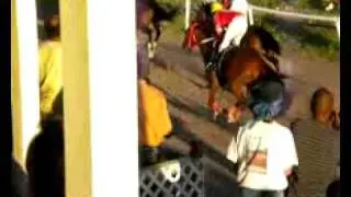 Horse racing in Nevis 15