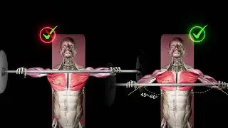 Bench Press! How to Do It Correctly! What Muscles Does It Work?