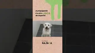 A Propaganda é a JACA do negócio!