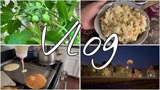 Vlog / preparando hotcake🥞 / ya nacieron mis tomates 🥹🍅