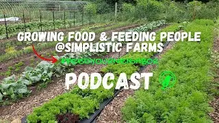 Attracting BIRDS, BEES, and BUTTERFLIES with COMPANION PLANTING! (Audio Only) - GFFP Podcast