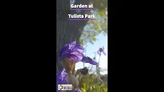 Garden at Tulista Park. Sidney, BC 