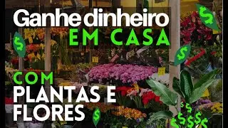 Como ganhar dinheiro com plantas e flores em 2022
