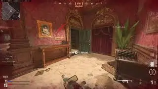 Vangaurd multiplayer