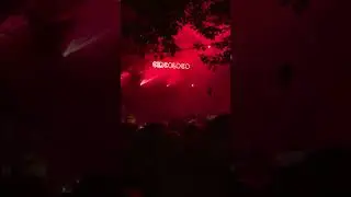 CIRCOLOCO: Ночь безумного музыкального экстаза