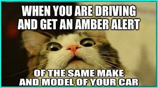 /r/AdviceAnimals Memes Reddit