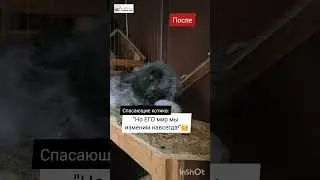 Котик Буба ждёт свою семью!
