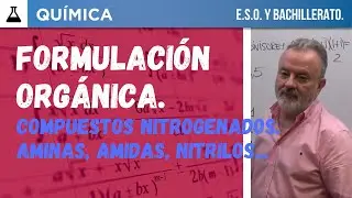 FORMULACIÓN ORGÁNICA  LAS AMINAS