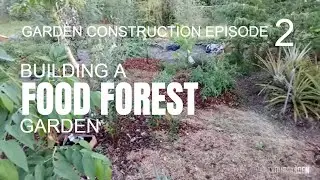 How to create a food forest garden: Catchments, Paths & No-go Zones