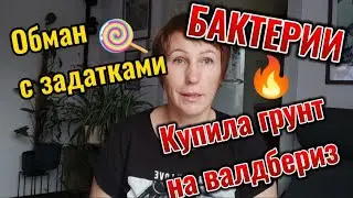 Случаи с отказом вернуть задаток. Грунт с валдбериз. Бактерии для выгребных ям, правила пользования