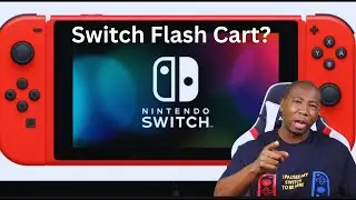 Nintendo Switch Flash Cart Coming 2024 PLUS GAMING NEWS!