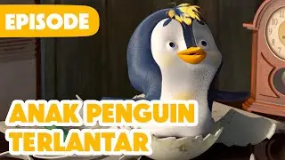 💥 Episode Baru 2024 💥 Masha dan Beruang 👧🐻 Anak Penguin Terlantar 🥚🐧 (Episode 23)