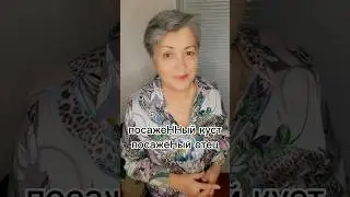 Почему ПОСАЖЕННЫЙ КУСТ с двумя Н, а ПОСАЖЁНЫЙ ОТЕЦ - с одной?