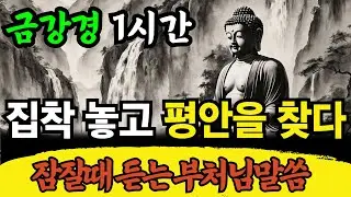 금강경 해설 1시간 | 모든 현상은 실체가 없고 공(空)하다 | 아상(我相), 인상(人相), 중생상(衆生相), 수자상(壽者相)의 네 가지 집착을 버려라 | 불교명언 | 반야심경