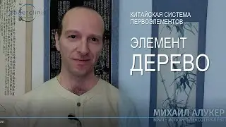 Элемент дерево | Система первоэлементов