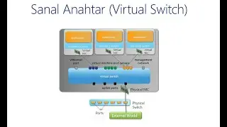 VMware Virtual Switch Nedir? - Virtual Network -4