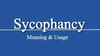 Sycophancy |Meaning|Usage #vocabulary #punjabitoenglishlearning #words #vocab #englishspeaking #word