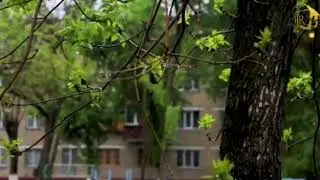 Karona virus haqida 2020 kuchli maruza SALOHIDDIN domla