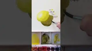Color Theory 101 