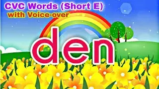 CVC WORDS SHORT E | CVC WORDS for Kindergarten and Grade 1 | CVC Song | 기초 영어