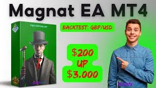 Magnat EA MT4 Backtest 2024 | FX STORE EA