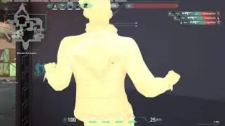 phoenix.exe