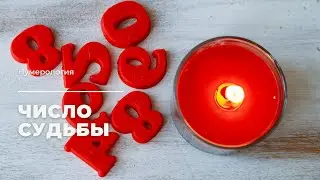 Характер по числу судьбы (ЧС 2, ЧС 11, ЧС 4, ЧС 6, ЧС 8, ЧС 9)