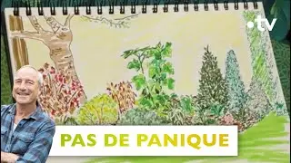 Pas de panique: cacher le mur du voisin avec un paysage persistant - Silence, ça pousse! 17/06/23