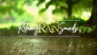 Rainy Escape | 1-Hour 4K | Rain Sound Relaxation