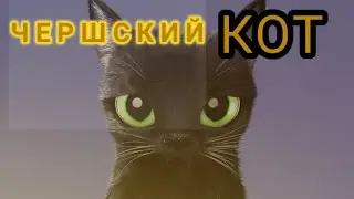 Вызов духа !!!! чершский кот. Он пришёл.